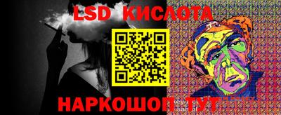 spice Гай