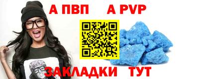 spice Гай